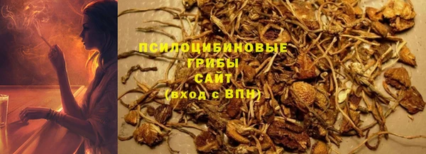 соль ск Абаза