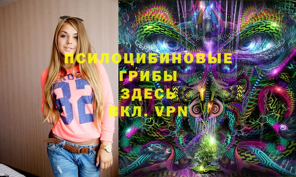 соль ск Абаза