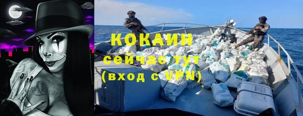 соль ск Абаза