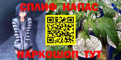 сатива Пенза
