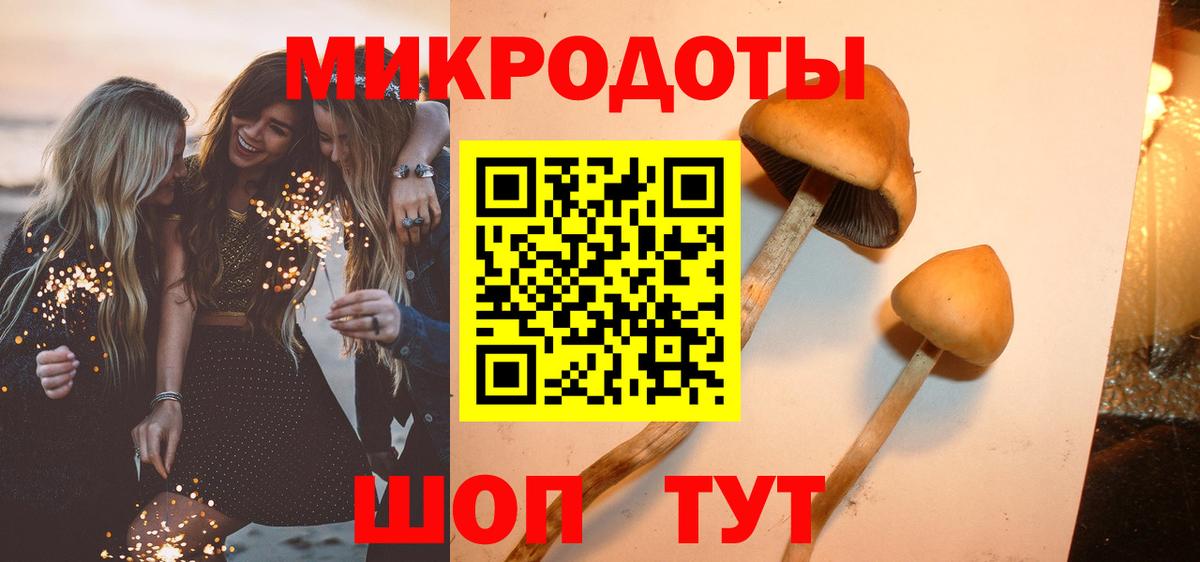 Псилоцибиновые грибы GOLDEN TEACHER  Вход с VPN  Элиста 
